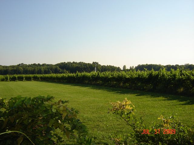 One of 3 lovely Ohio vineyard the group visited together