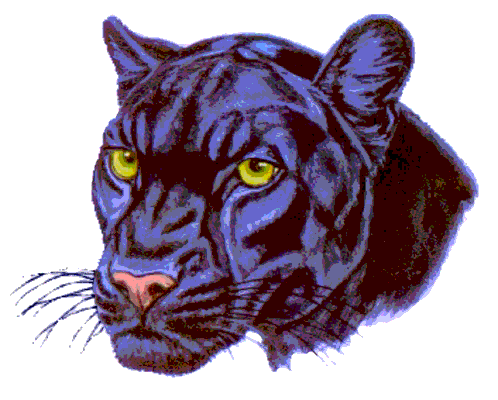 panther
                logo